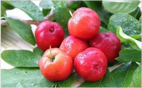 �A�Z����