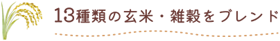 13��ނ̌��āE�G�����u�����h