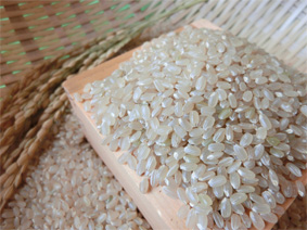 スーパーフード玄米を使用
