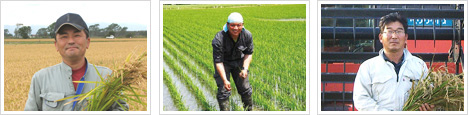 北海道産、農薬不使用（栽培期間中）の玄米を使用