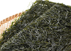 ������Ƃ�������₨�Ԃ��Ȃǂ̑����i��