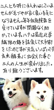 �n�i�����ƃt�N����