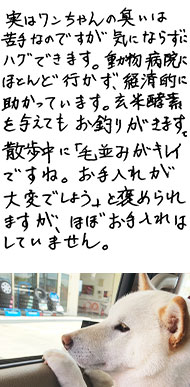 �݂邭�����
