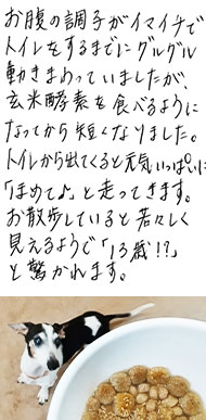 �u�`����