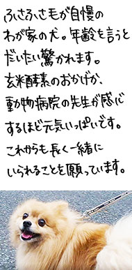 ���C����
