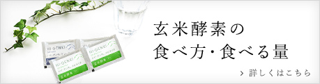 ハイ・ゲンキ 霊芝（顆粒・90袋入）/玄米酵素商品/玄米酵素 GENMAIKOSO 