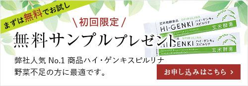 玄米酵素 ハイ・ゲンキ C ビタミンC 健康食品 サプリメント 4箱セット